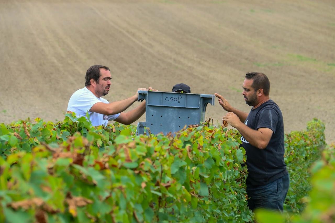 Journée dans le Vitryat