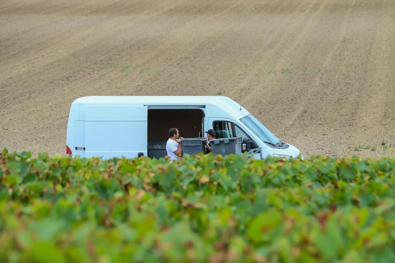 Journée dans le Vitryat