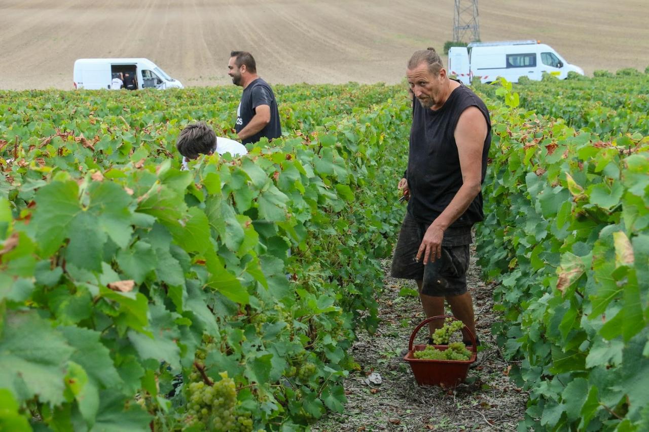 Journée dans le Vitryat