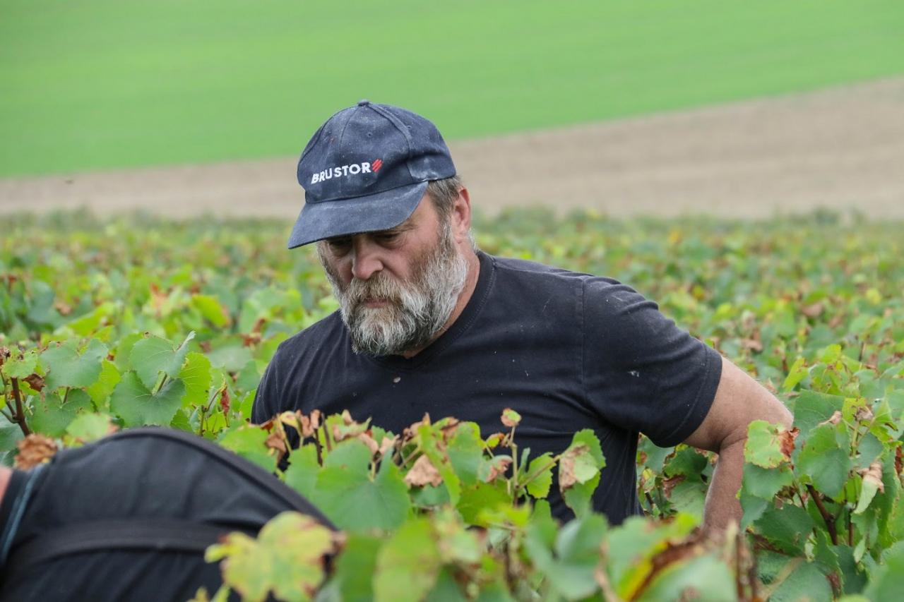 Journée dans le Vitryat