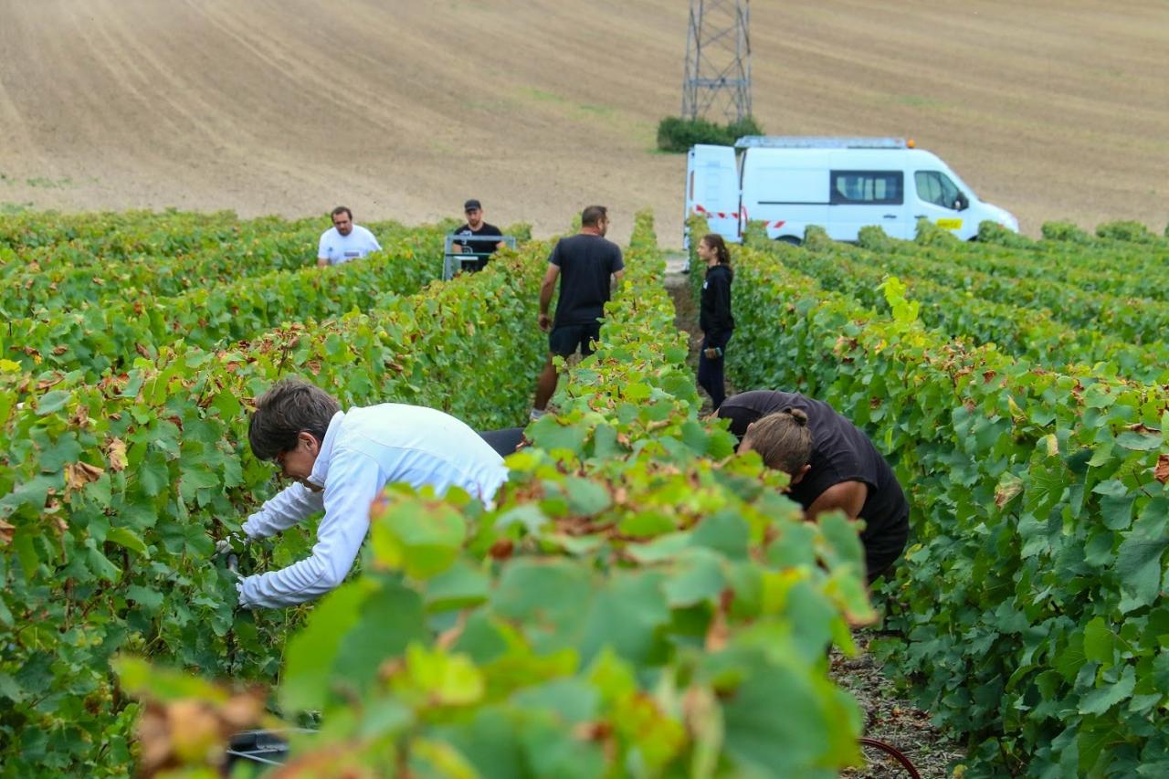 Journée dans le Vitryat