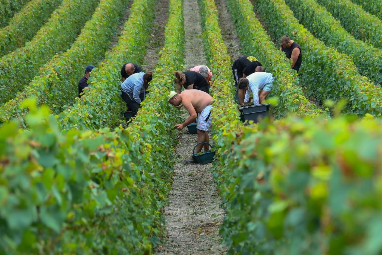 Journée dans le Vitryat