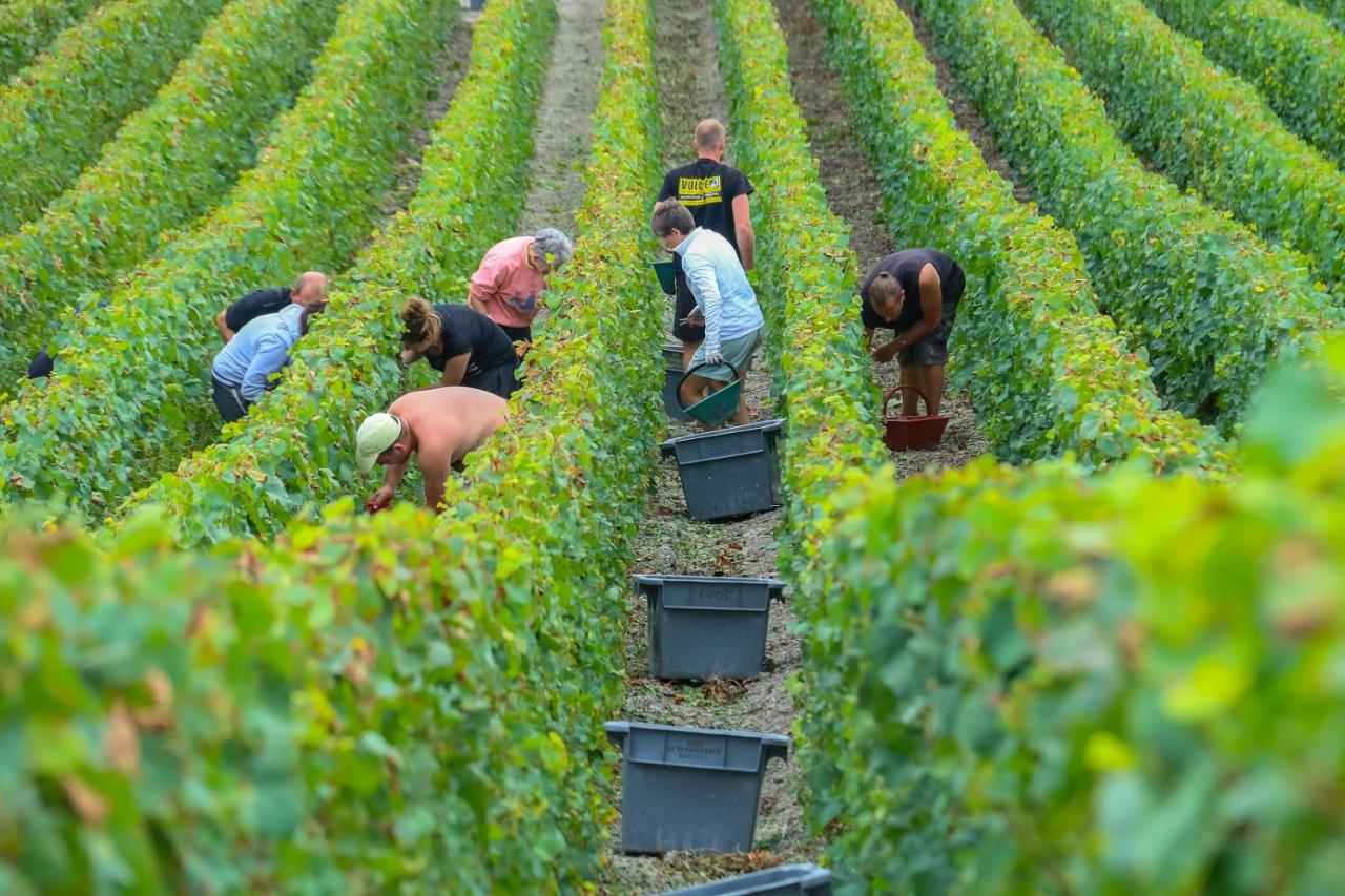 Journée dans le Vitryat