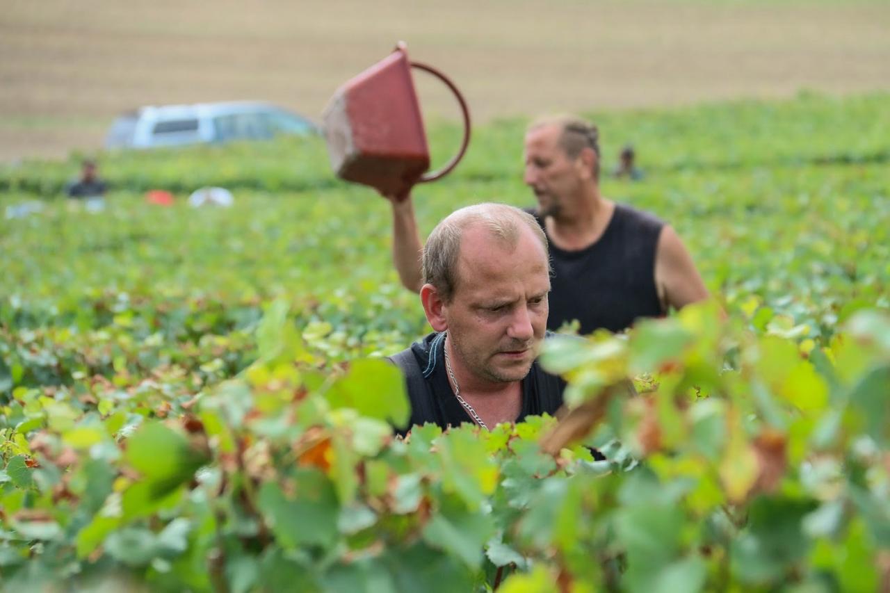 Journée dans le Vitryat