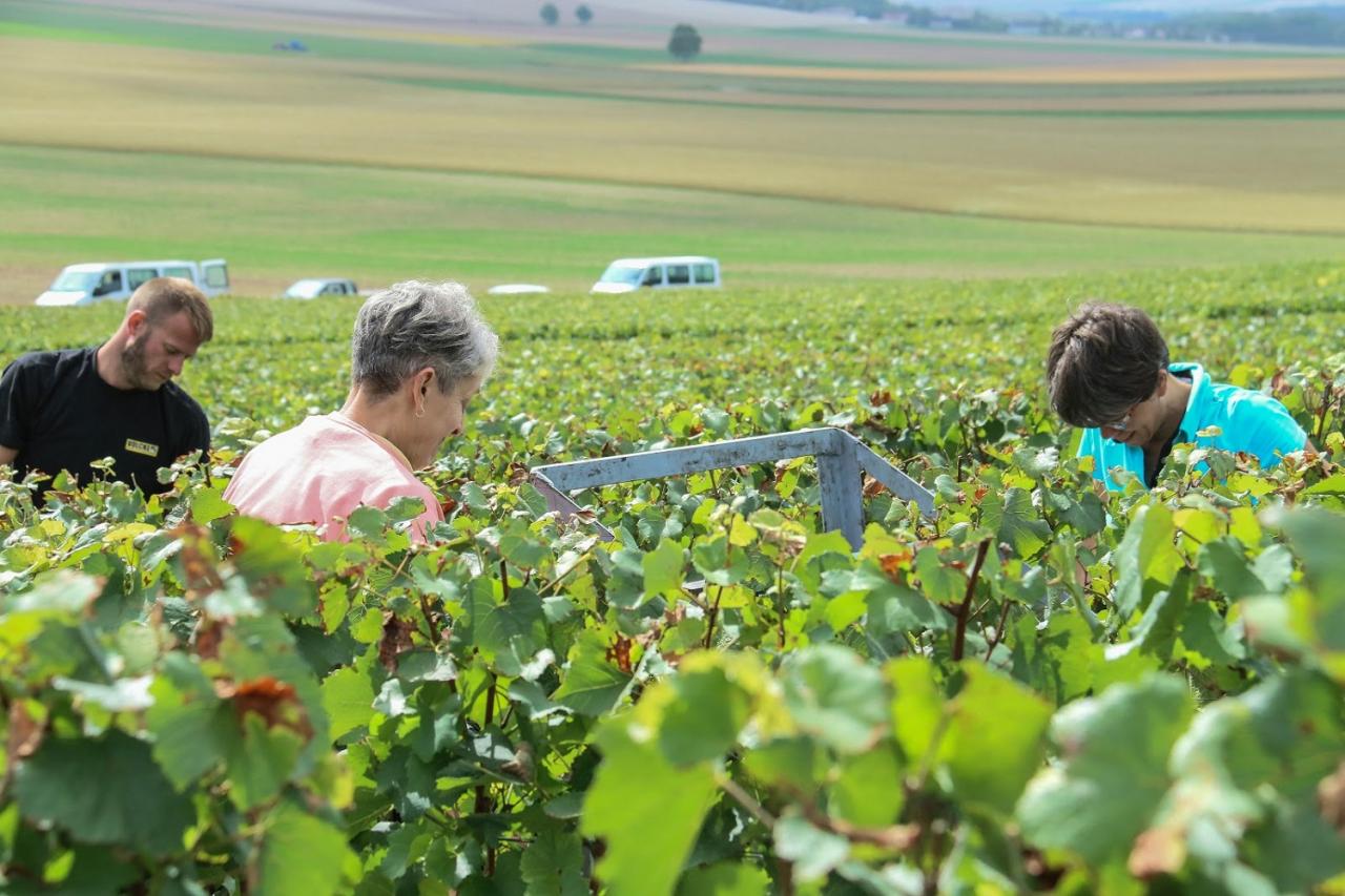 Journée dans le Vitryat