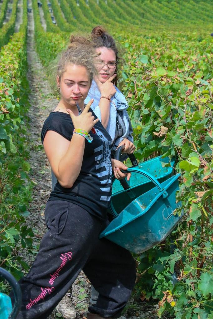 Journée dans le Vitryat