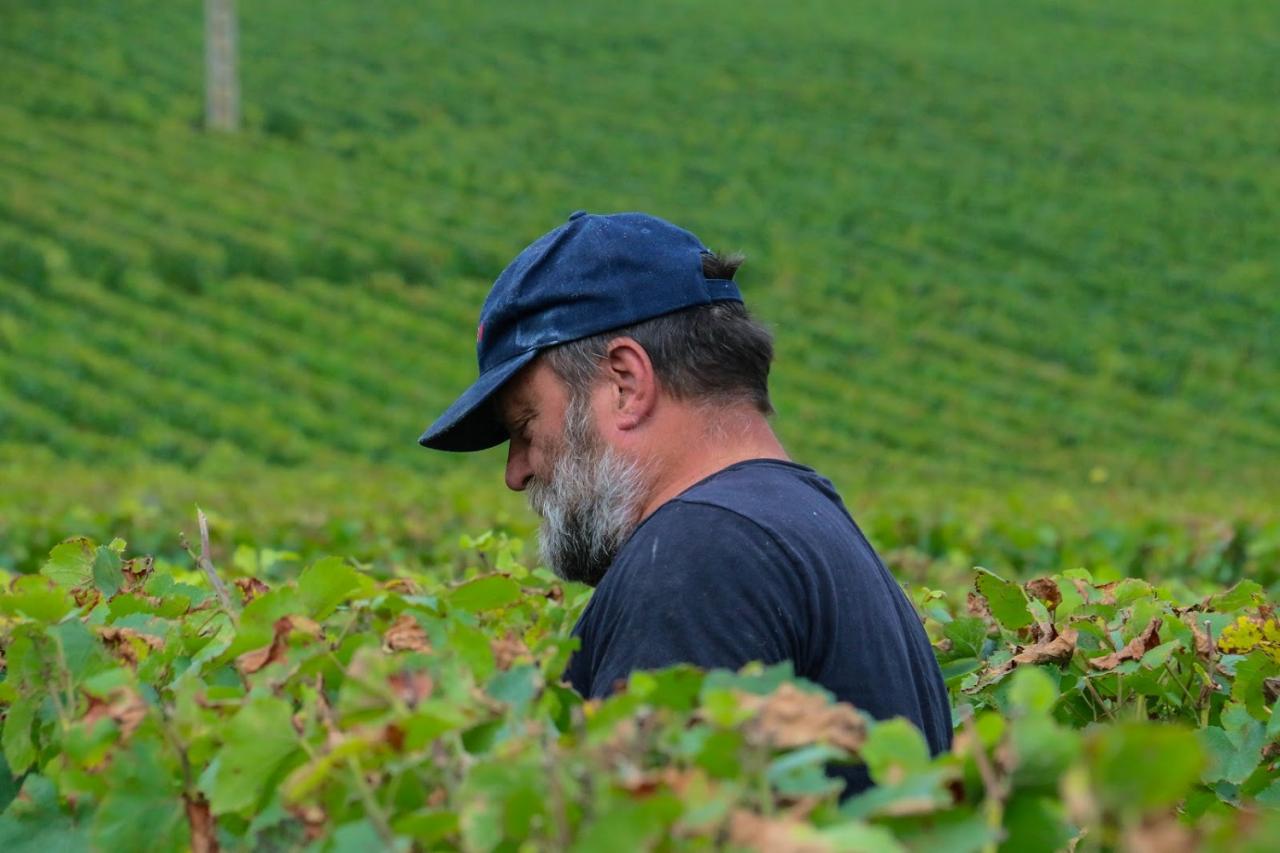 Journée dans le Vitryat