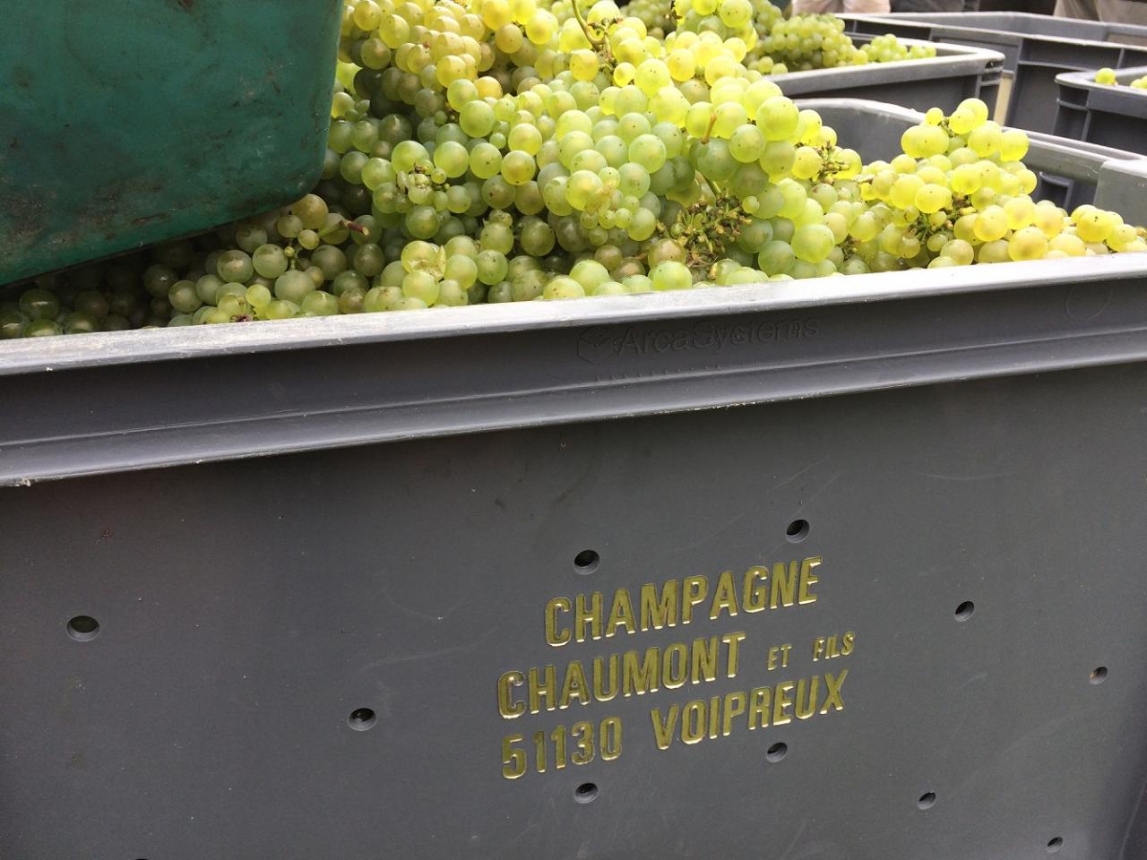 Champagne Chaumont et Fils...