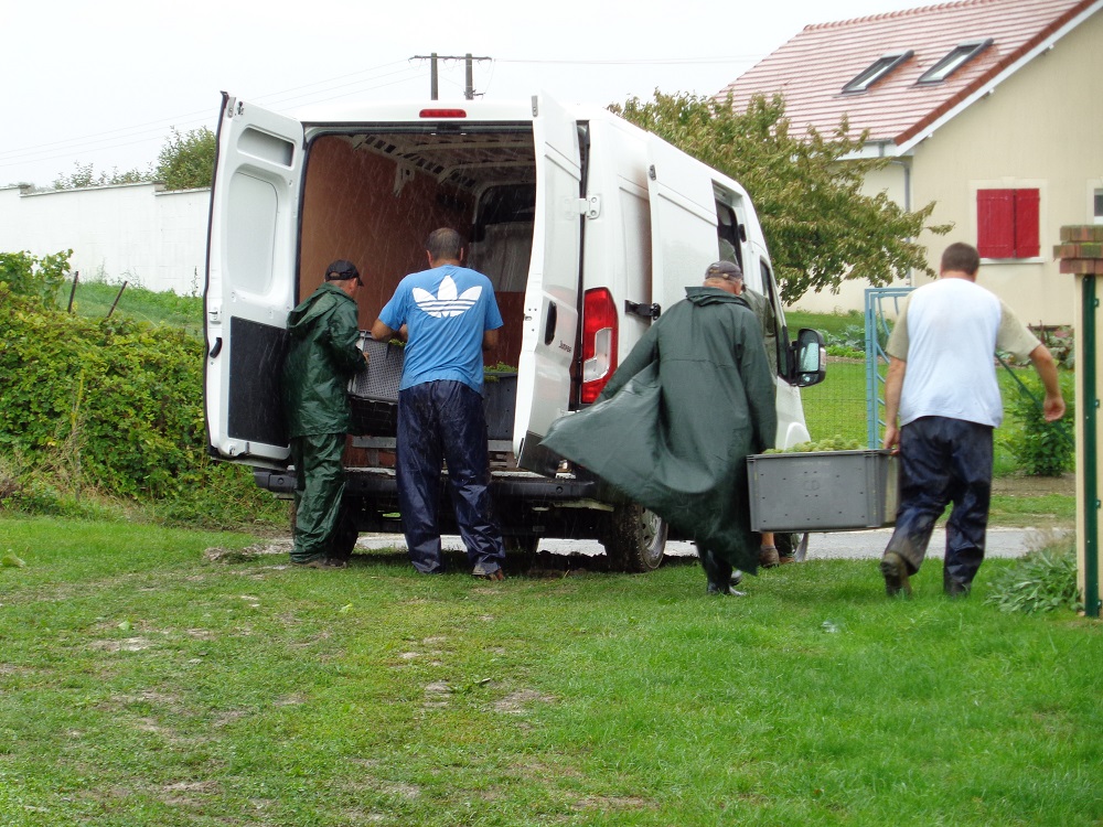 Dernier chargement sous la pluie