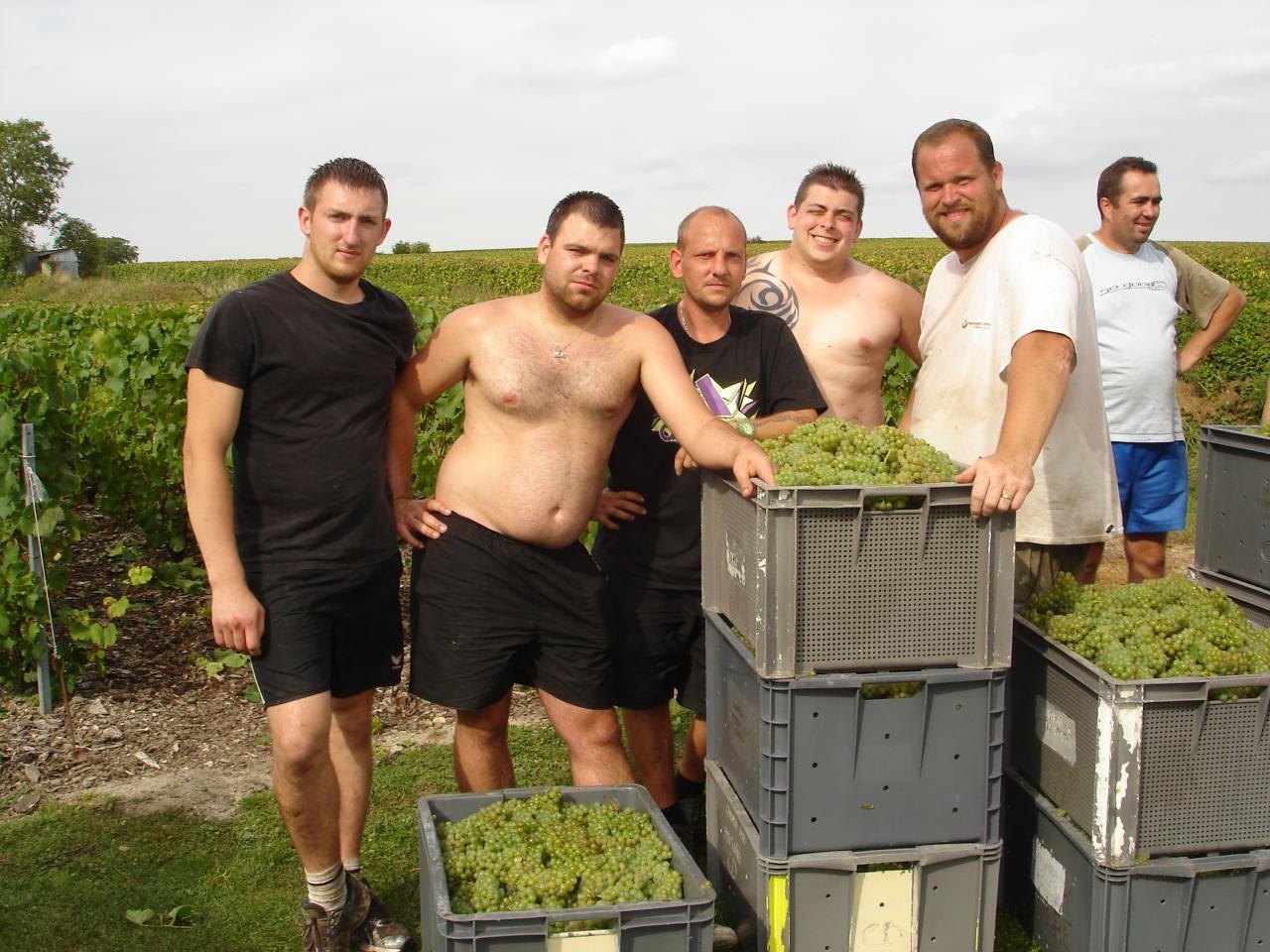 Fin de Vendanges - Certains retrouvent le sourire