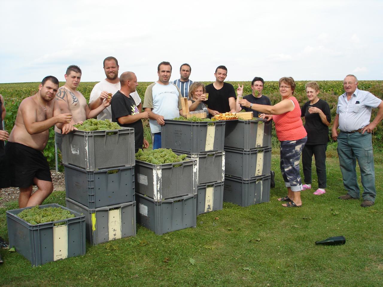 Photo fin de Vendanges 2014