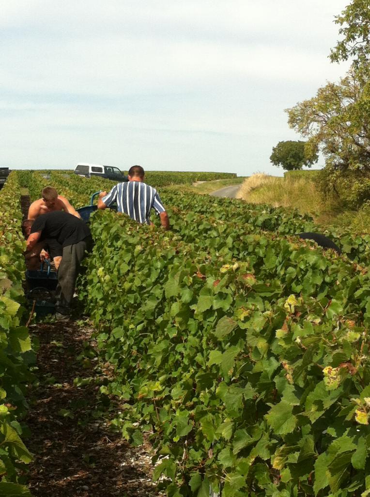 Dernière montée des Vendanges