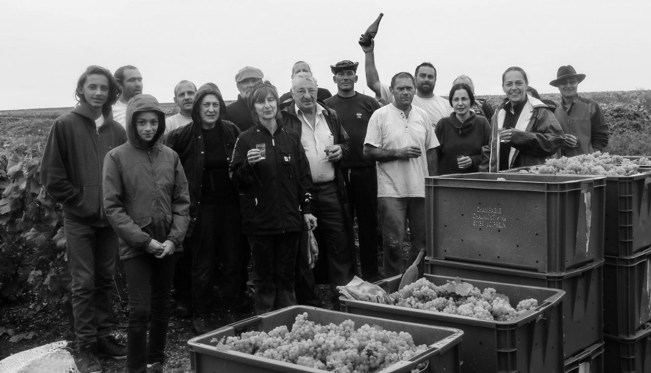 Photo fin de Vendanges 2016