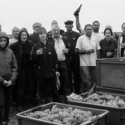 Photo fin de Vendanges 2016