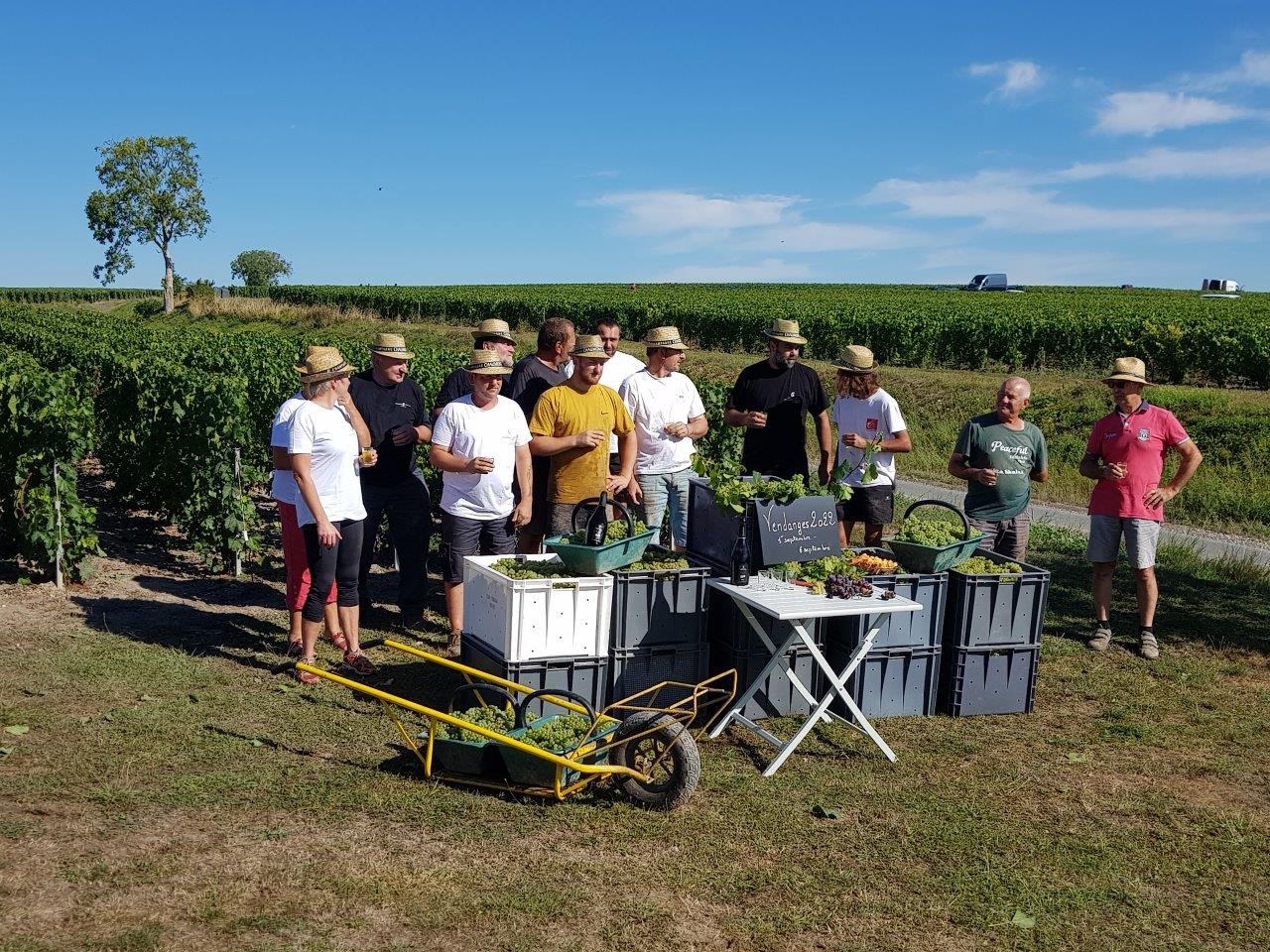 Vendanges 2022