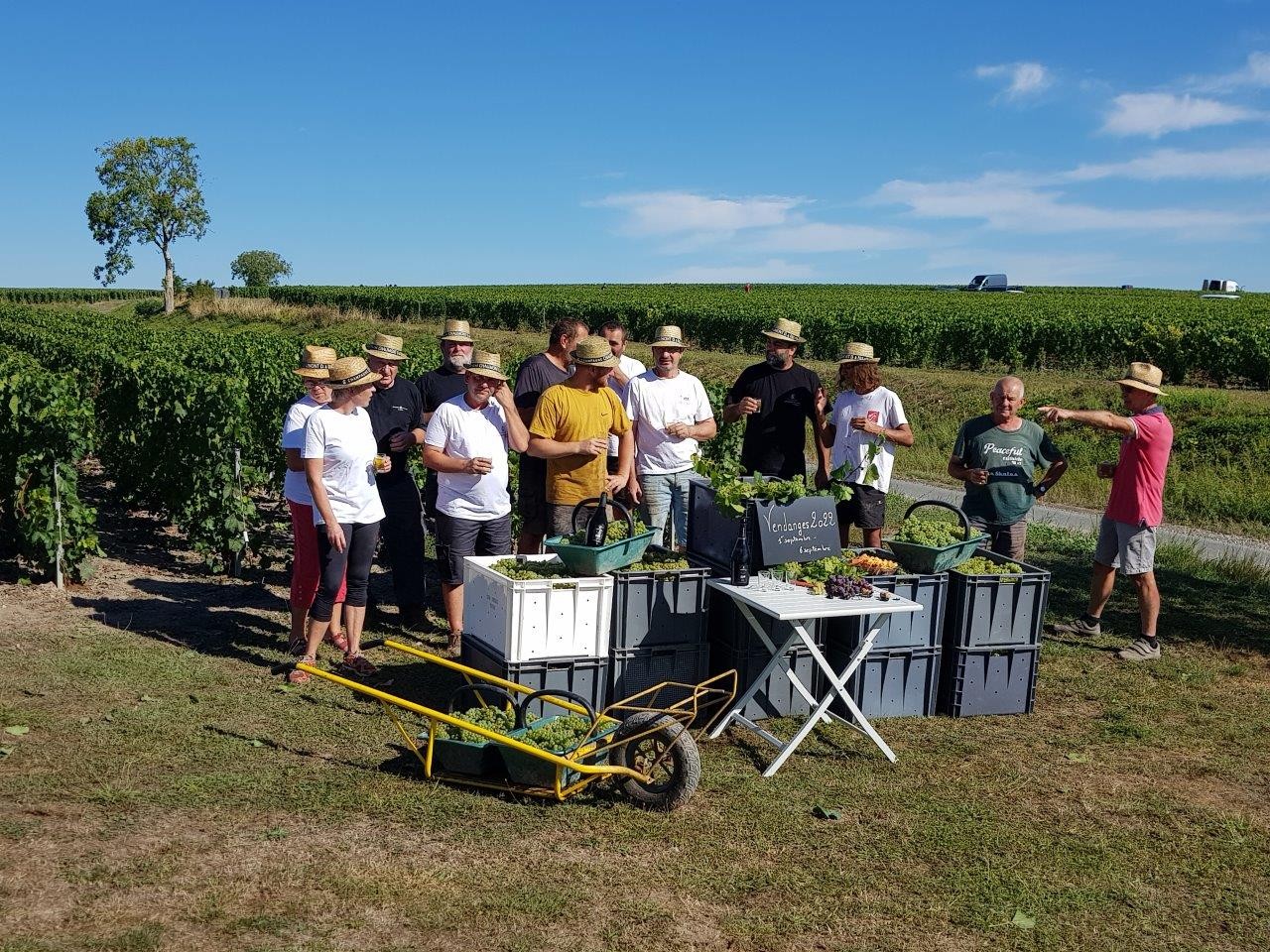 Vendanges 2022