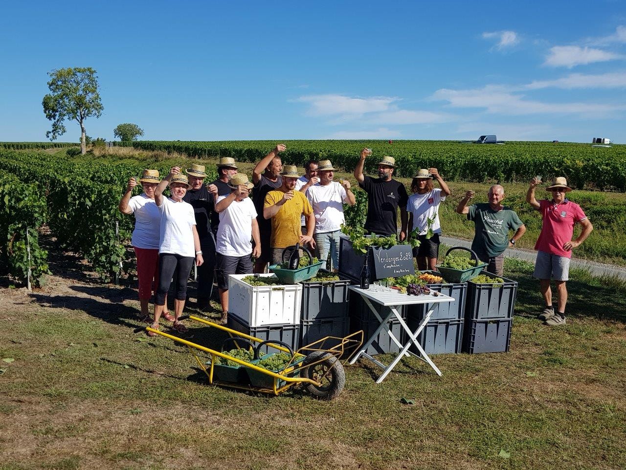 Vendanges 2022