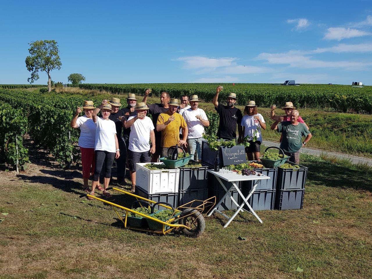 Vendanges 2022