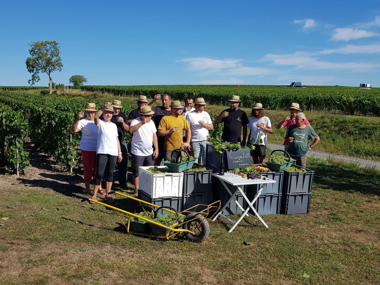 Vendanges 2022