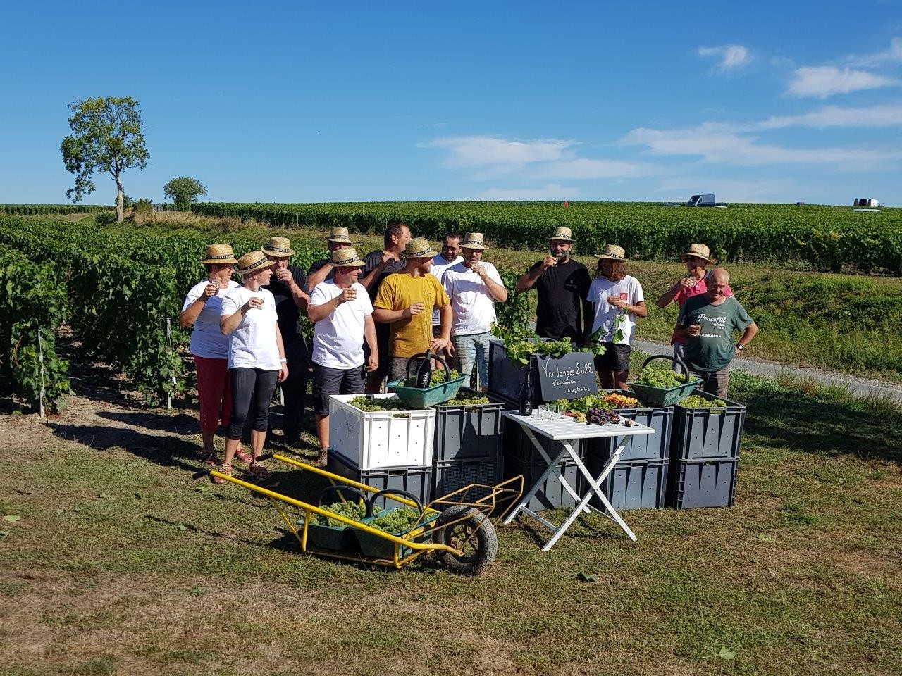 Vendanges 2022