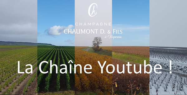 Notre Chaîne Youtube !